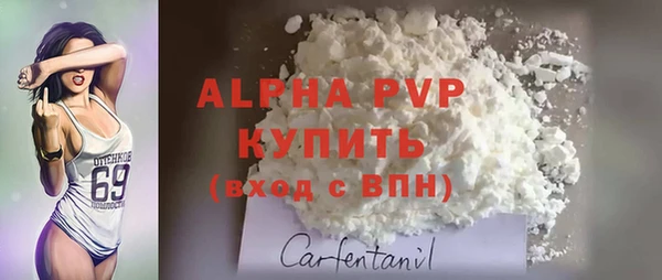 гашик Коряжма