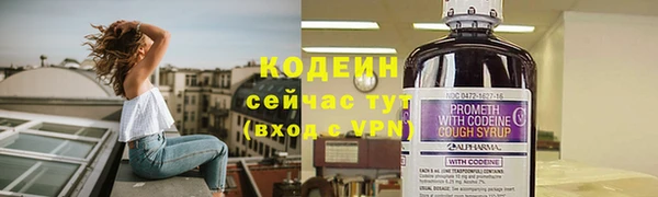хмурый Корсаков
