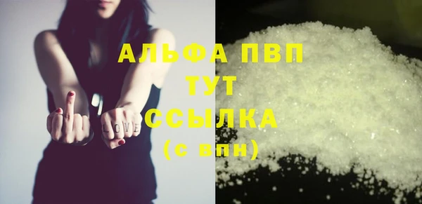 хмурый Корсаков