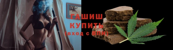 гашик Коряжма
