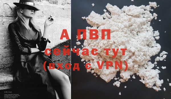 гашик Коряжма