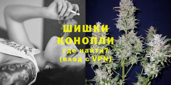 гашик Коряжма