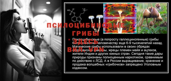 хмурый Корсаков