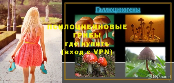 хмурый Корсаков