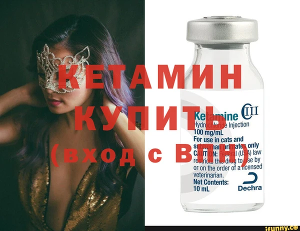 гашик Коряжма