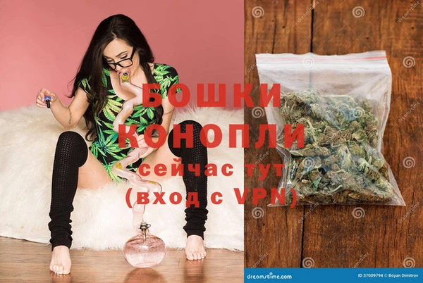 гашик Коряжма