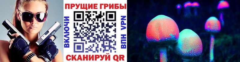 Псилоцибиновые грибы Psilocybe  Купить  Чулым 