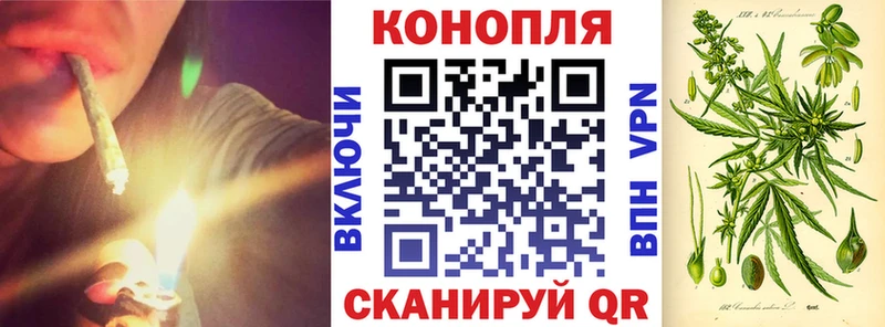 Конопля планчик Чулым